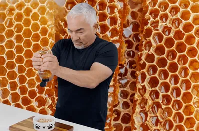 Squirt Some Honey on Your Dog's Tongue, Here's What Happens